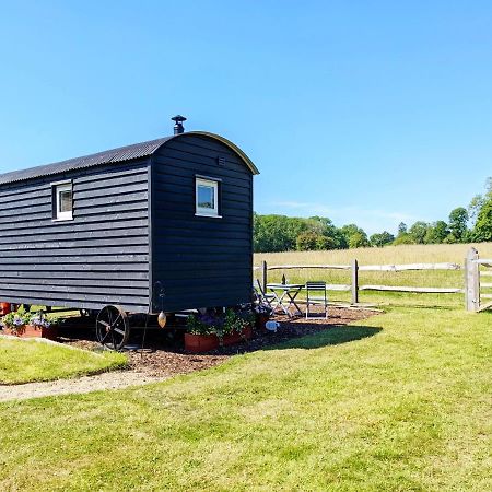 Crabden Shepherd Hut - Blendworth Villa Уотърлувил Екстериор снимка